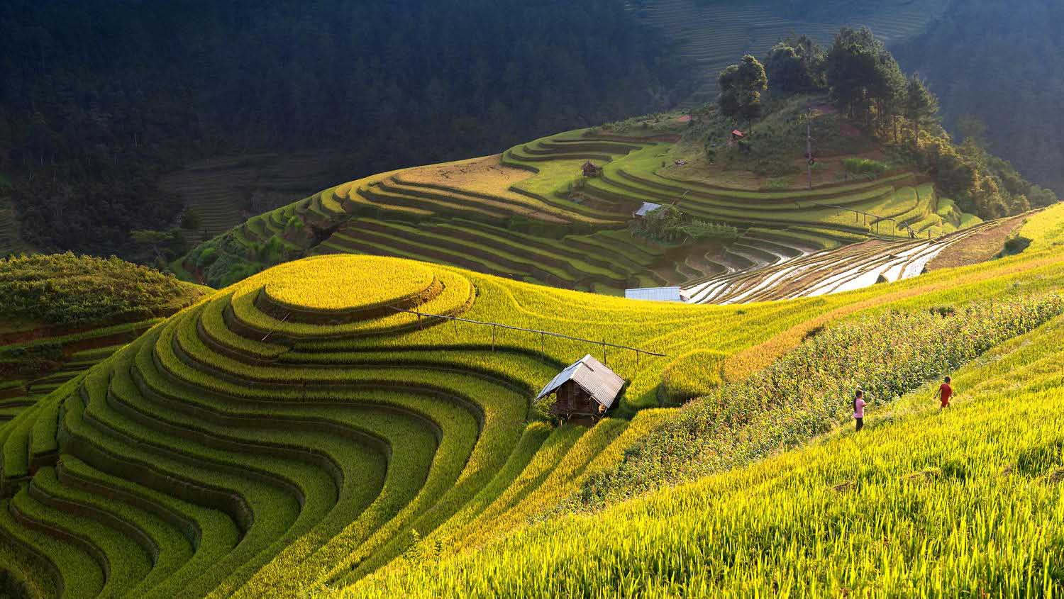 Hiking In Vietnam